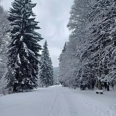 Chaloupka Karlova Studánka