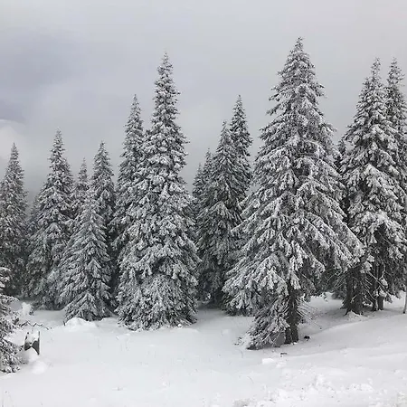 Domek alpejski Chaloupka Karlova Studánka