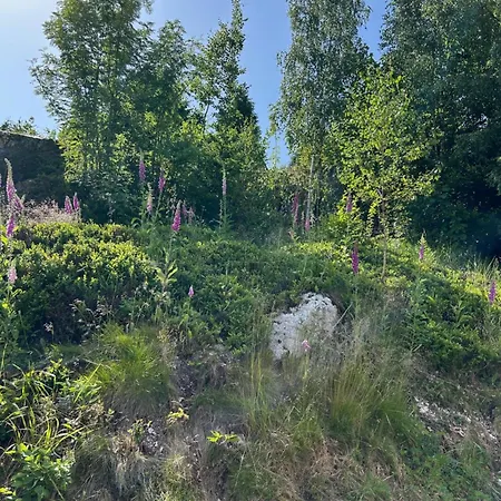 Chaloupka Karlova Studánka