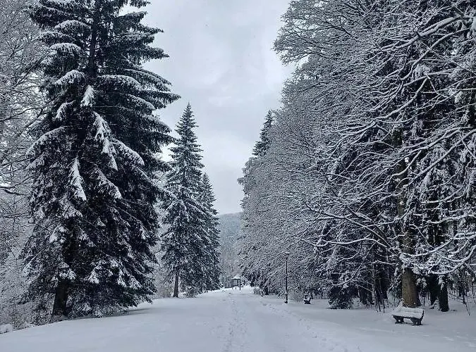 Chaloupka Karlova Studánka