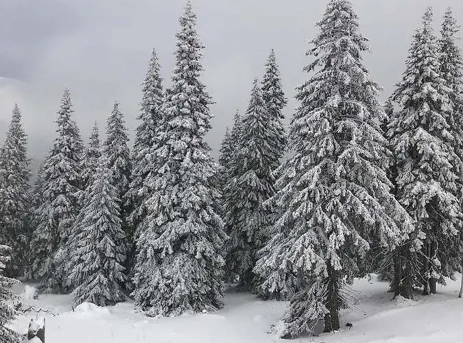 Chalet Chaloupka Karlova Studánka