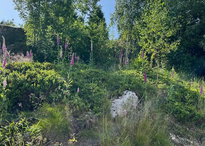 Chaloupka Karlova Studánka